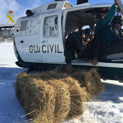 Helicoptero En Navamuel