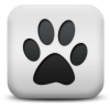 Captcha image 1289